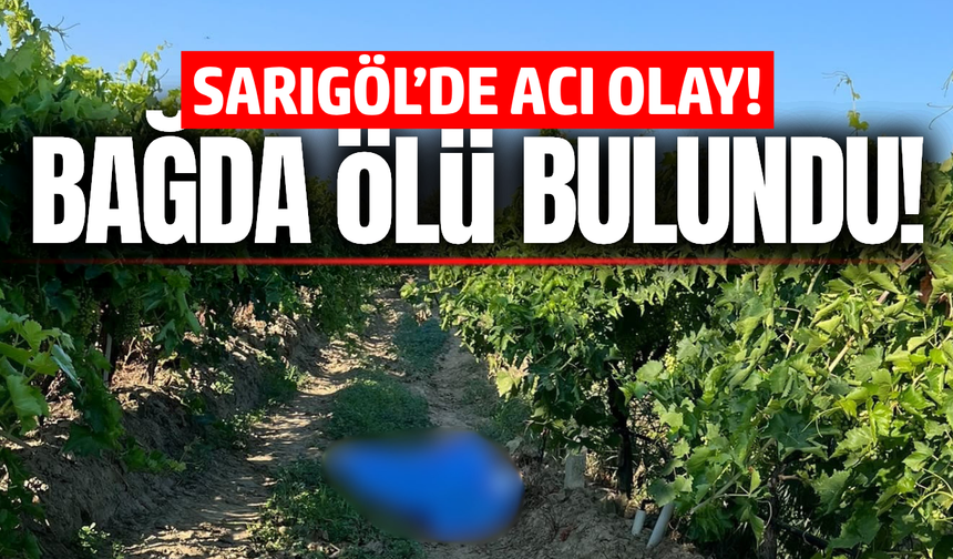 Sarıgöl'de bir kişi üzüm bağında ölü bulundu!