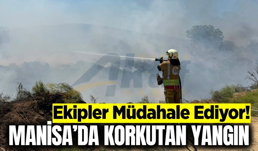 Sarıgöl'de kurutma kanalında korkutan yangın!