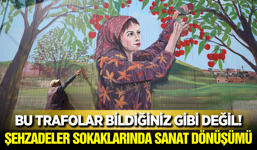 Şehzadeler'in Atıl Duvarları ve Trafoları Ressam Eliyle Hayat Buldu!