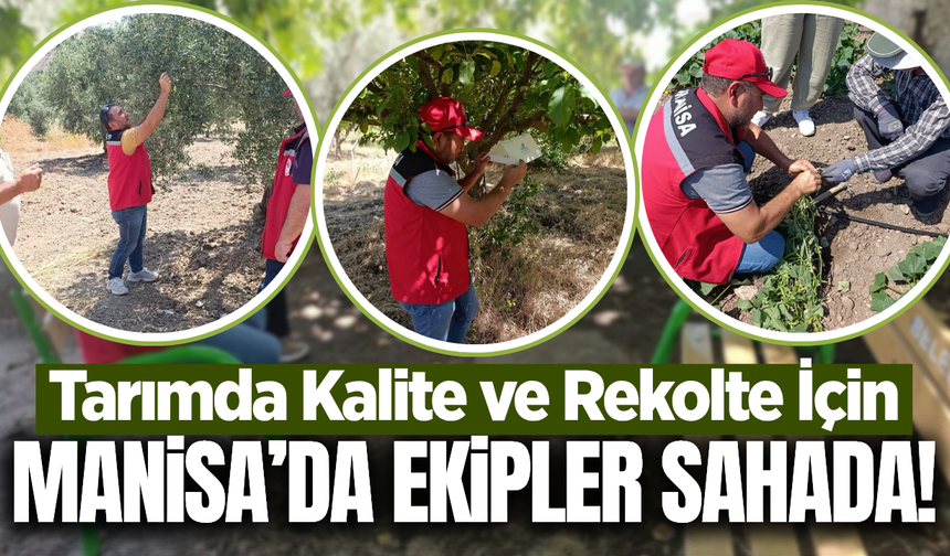 Tarımsal verimlilik için Manisa'da sahada yoğun çalışma