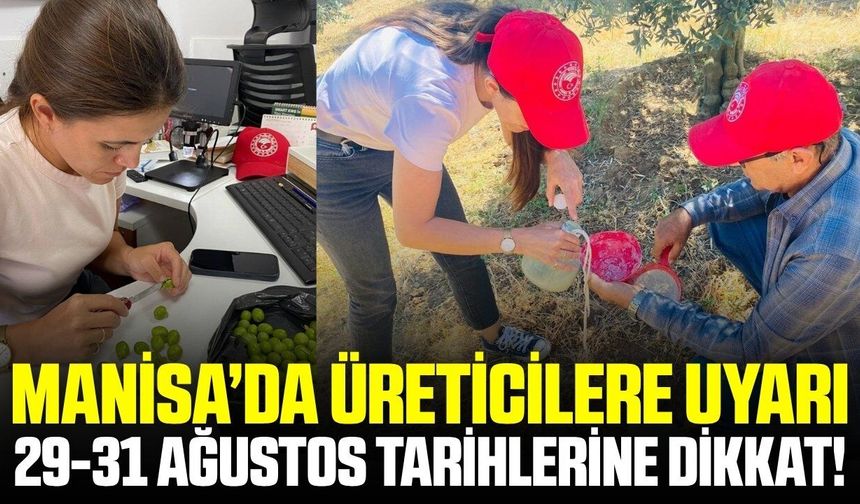 Manisa'da üreticilere uyarı: Bu tarihlere dikkat!