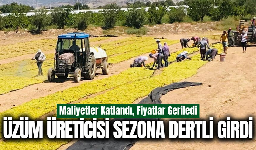 Buldan'da üzüm üreticisi fiyat belirsizliğine tepkili!