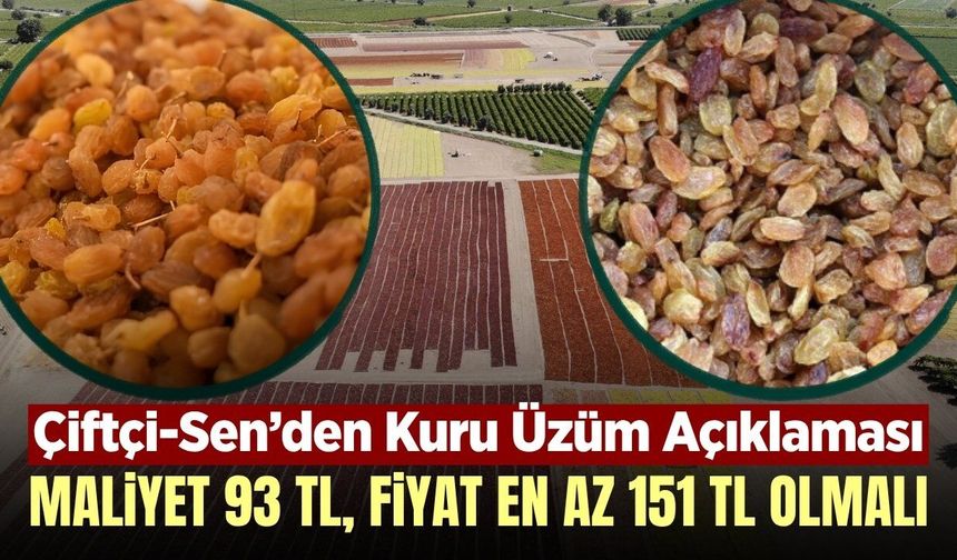 Çiftçi-Sen 1 kilo kuru üzümün maliyetini açıkladı! 'Maliyet 93, fiyat en az 151 olmalı'