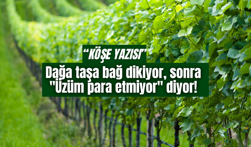 Artık Dünyanın her yerinde Üzüm Yetişirken Dağ Başına Bağ Dikerseniz, Feryat Etmeye Hakkınız Olmaz!