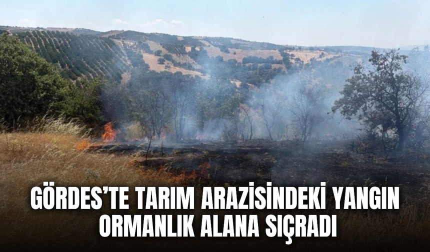 Gördes’te tarım arazisinde başlayan yangın ormana sıçradı