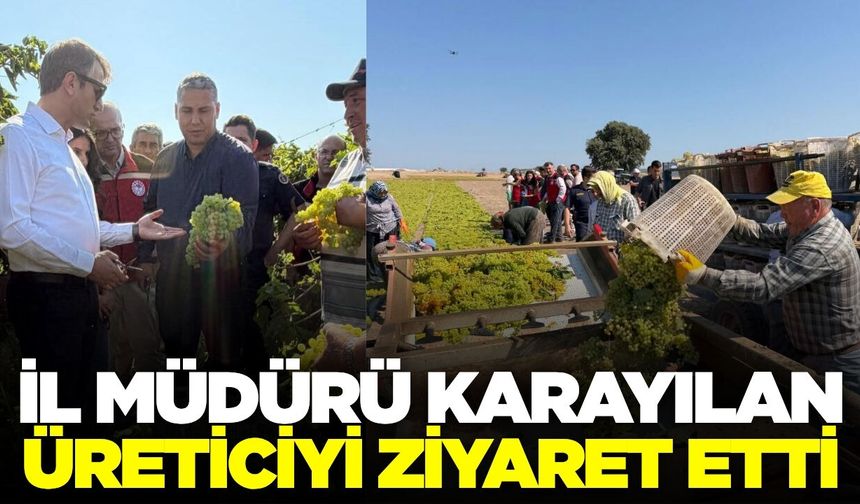 Manisa'da üzüm kurutma sezonu başladı!