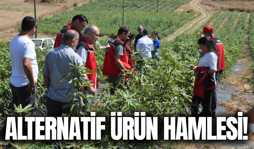İlçede alternatif ürün hamlesi!