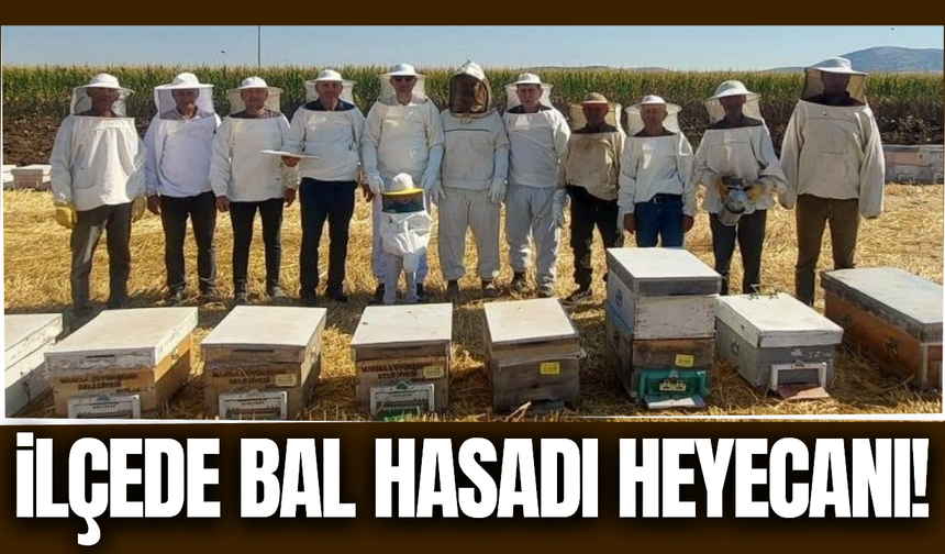 Kaymakam Fatih Özcan Saruhanlı'da bal hasadına katıldı