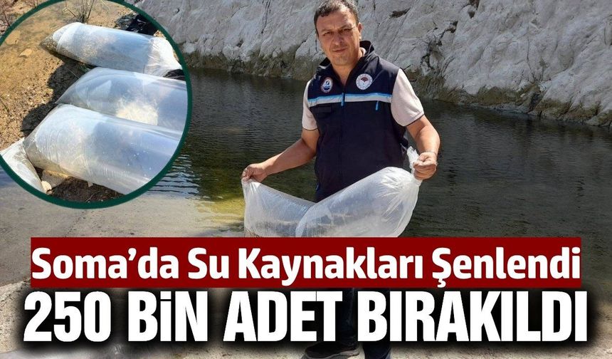 İlçedeki baraj ve göletlere 250 bin sazan yavrusu bırakıldı