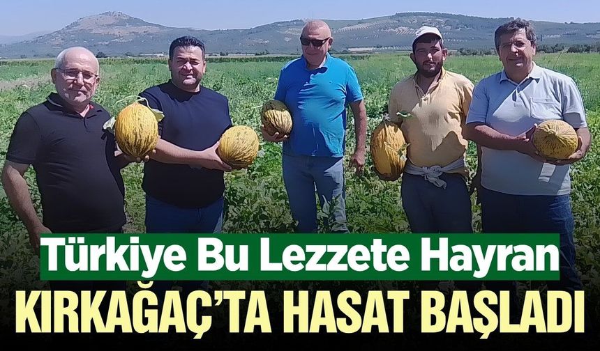 Kırkağaç'ta Kavun Hasadı Başladı! Başkan Dönmez'de Hasada Katıldı