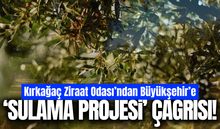 Kırkağaç’ta zeytinlikler için sulama projesi çağrısı