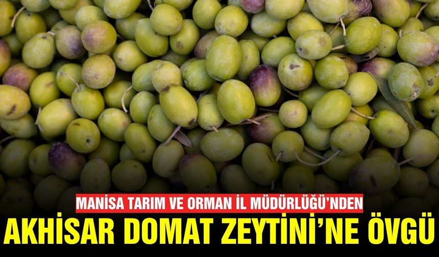 Müdürlükten Manisa'nın sofralık zeytinine övgü!