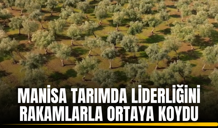 Manisa tarımda gücünü rakamlarla anlattı: Üretimde lider, ihracatta zirvede