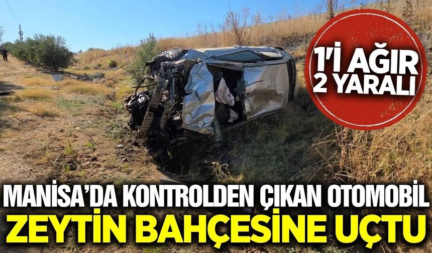 Manisa'da feci kaza: Otomobil zeytinliğe uçtu