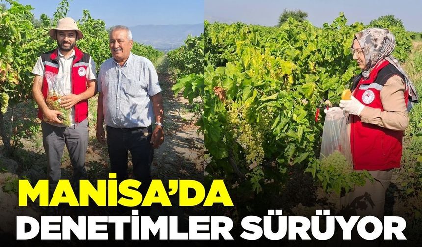 Manisa'da hasat öncesi pestisit denetimi!