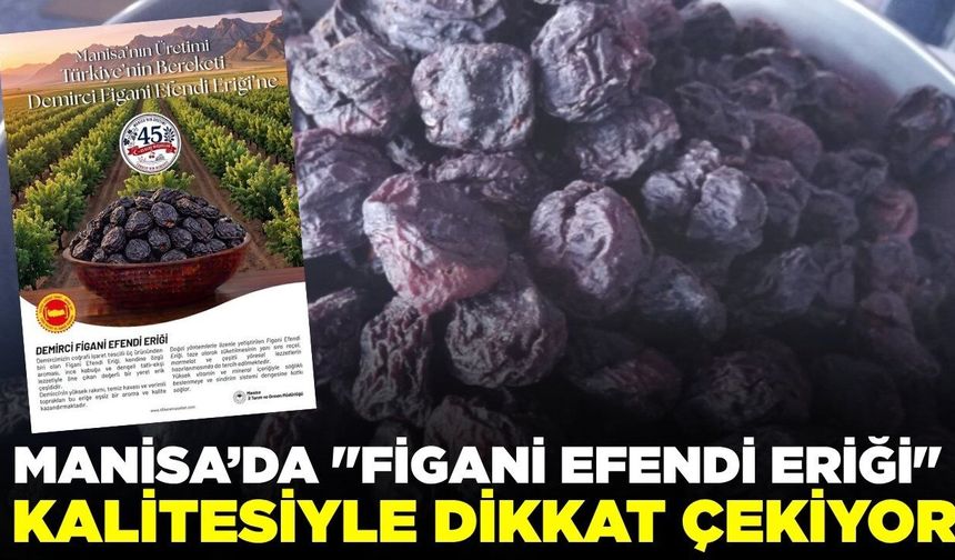 İl Müdürlüğün'den Demirci'nin bereketine övgü