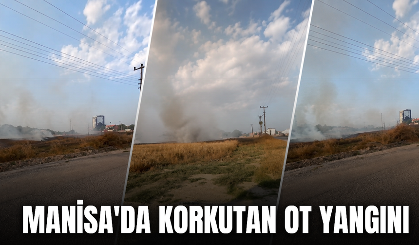 Manisa'da ot yangını paniğe neden oldu