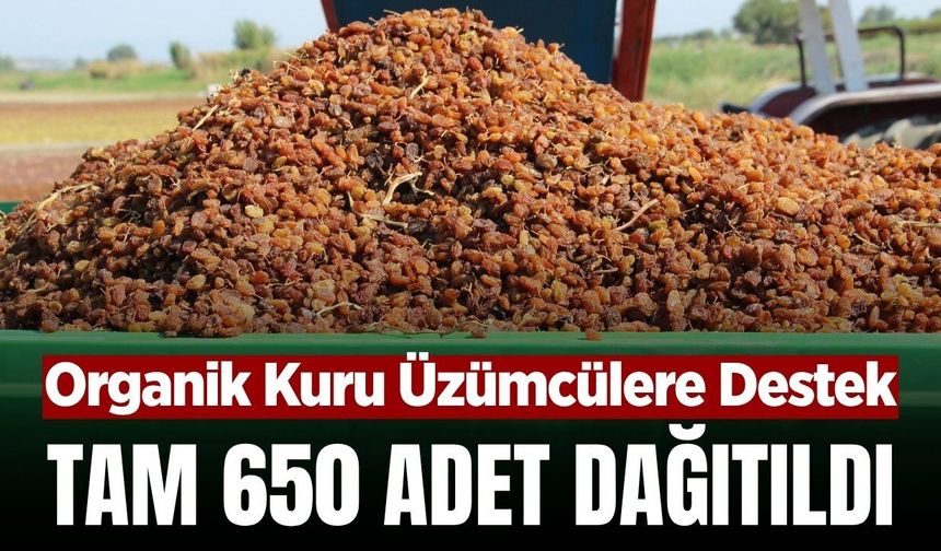 Manisa'da organik kuru üzüm üreticilerine önemli destek