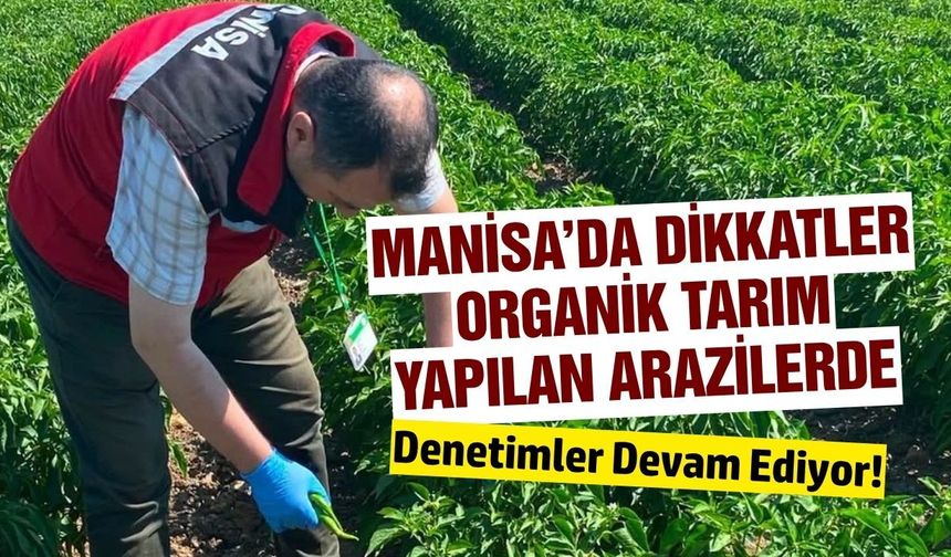 Manisa'da organik tarım yapılan alanlarda pestisit denetimi