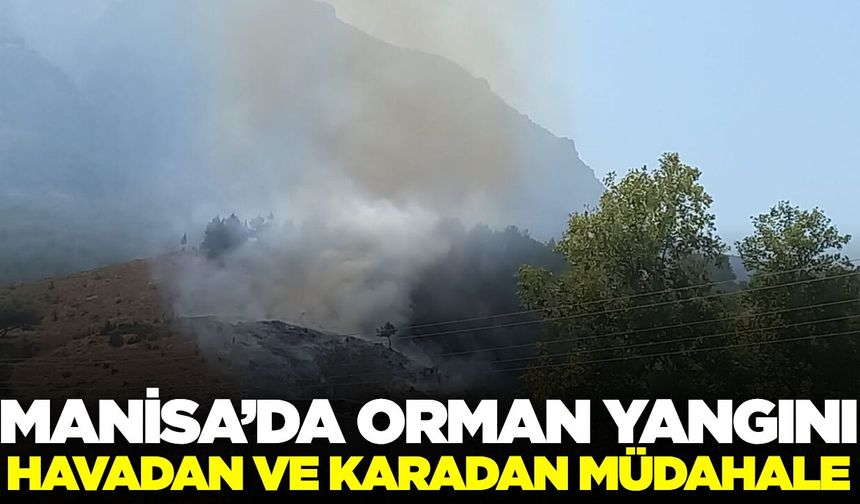 Manisa'da orman yangını: Ekipler müdahale ediyor