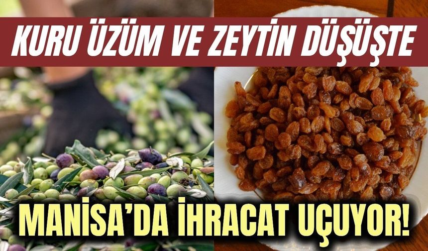 Manisa’da tarımsal ihracat 7 ayda 573,6 milyon dolara ulaştı