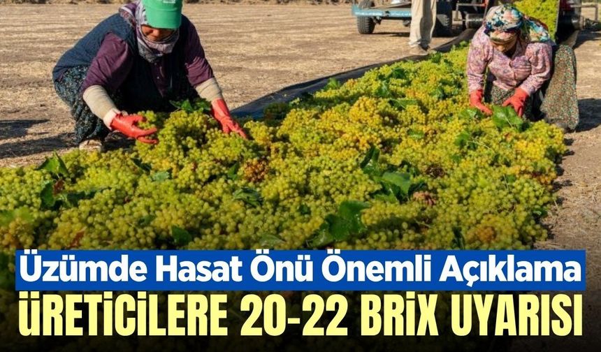 Manisa'da üzüm hasadı öncesi üreticilere önemli uyarı!