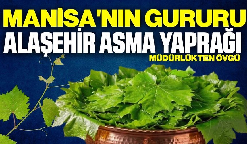 Alaşehir Asma Yaprağı’na Müdürlükten övgü!