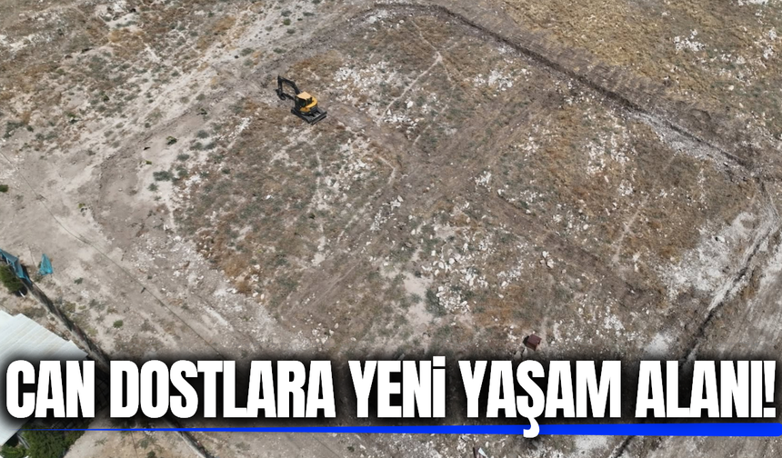 Manisa'nın ilçesinde can dostlara yeni yaşam alanı!