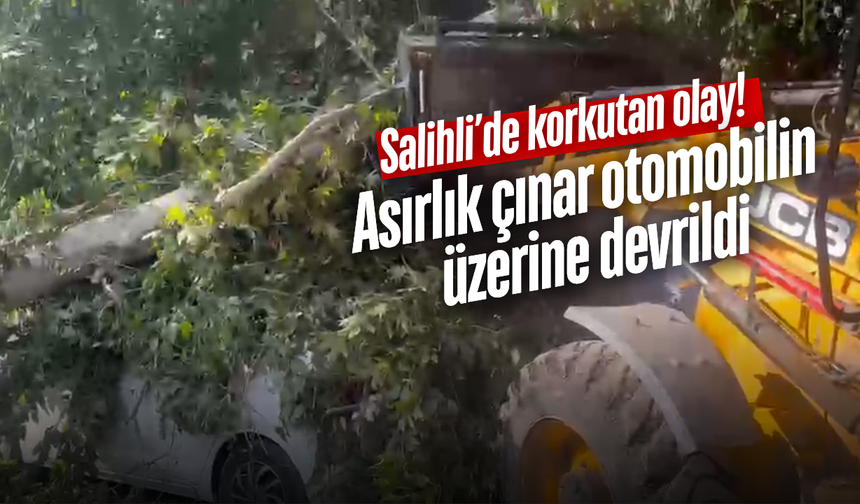 Salihli’de park halindeki otomobilin üzerine ağaç devrildi