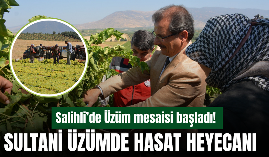 Salihli’de Sultani Üzüm Hasadı Başladı: Kaymakam Güldoğan Bağlarda Üreticiyle Buluştu