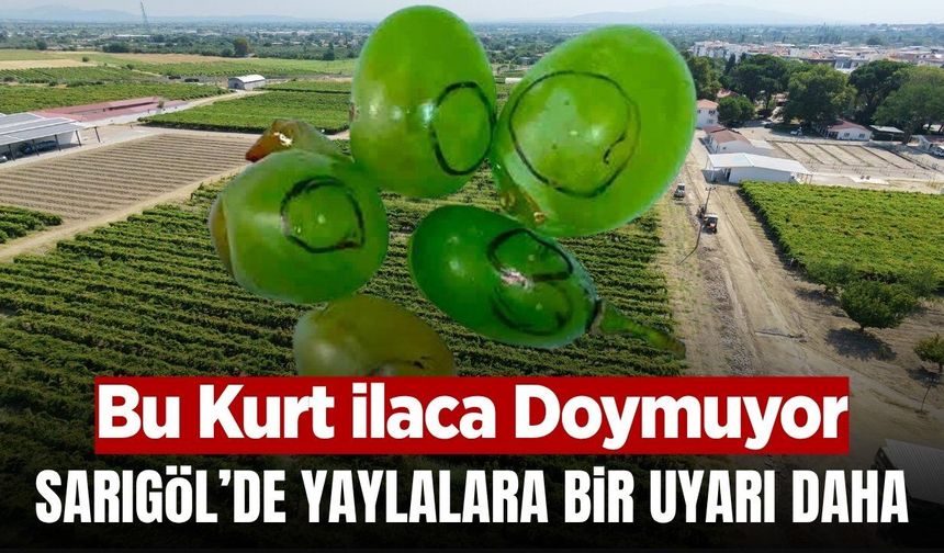Sarıgöl'de bağcılara 3. nesil uyarısı yapıldı!