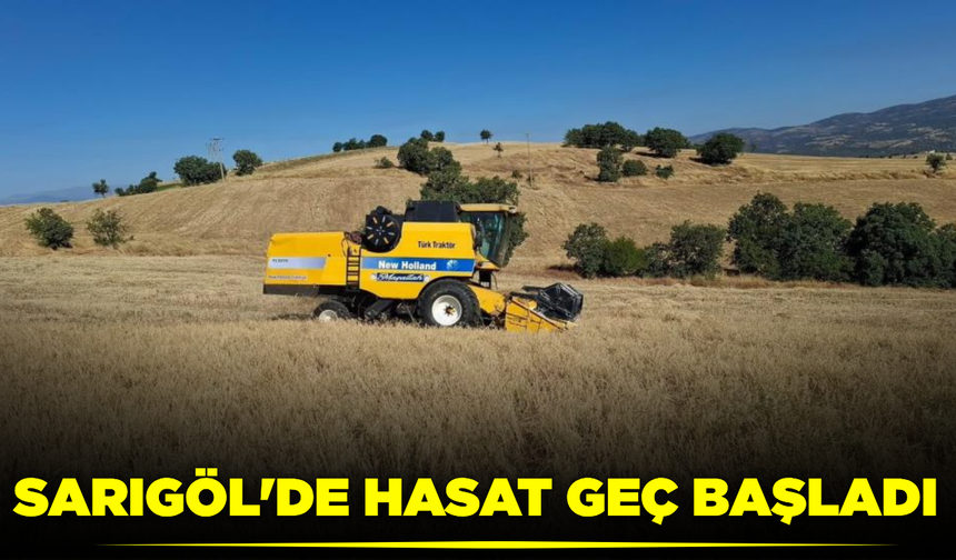 Sarıgöl'de Hububat hasadı gecikmeli başladı