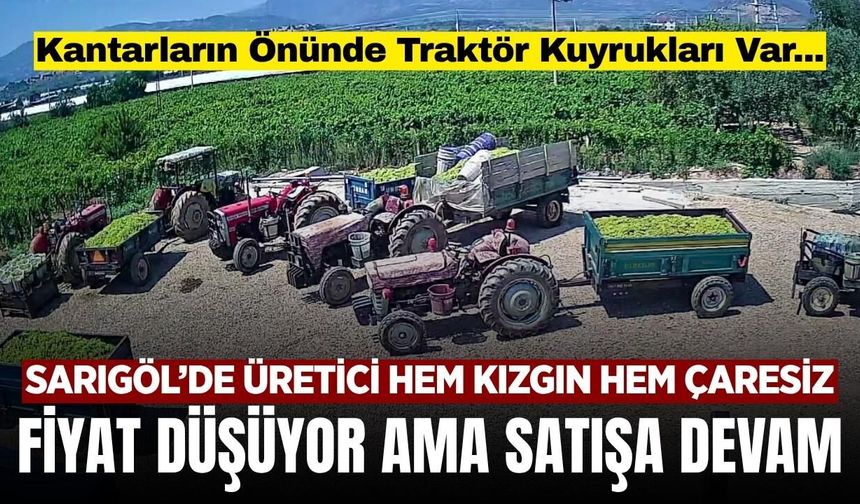 Sarıgöl'de ıskarta üzümde fiyat 10 TL! Kantarlarda kuyruk var