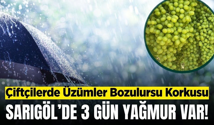 Sarıgöl'de tahminler 3 gün yağmur var diyor! Çiftçi hem sevinçli hem de tedirgin