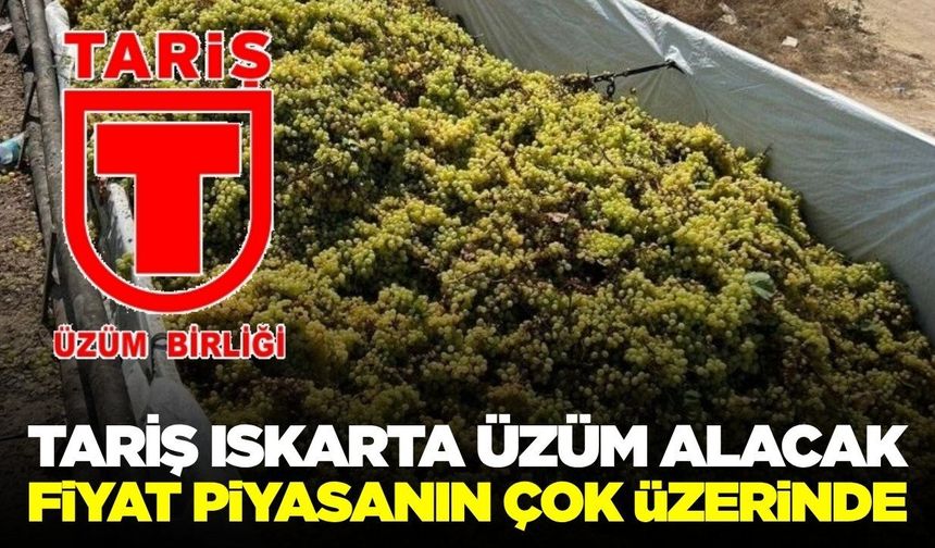 TARİŞ ıskarta üzüm alımına başlayacağı tarihi duyurdu