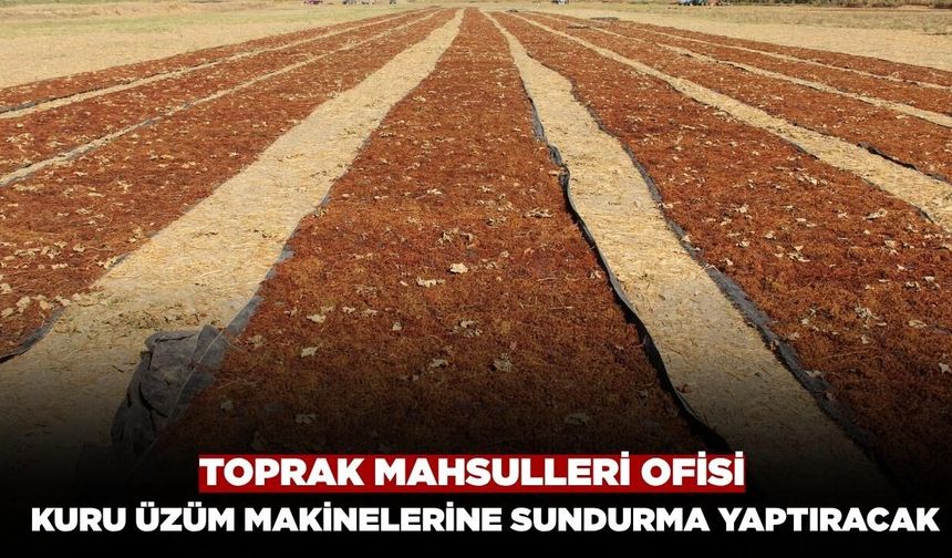 TMO, Salihli ve Alaşehir’de Kuru Üzüm Makineleri İçin Sundurma Yaptıracak