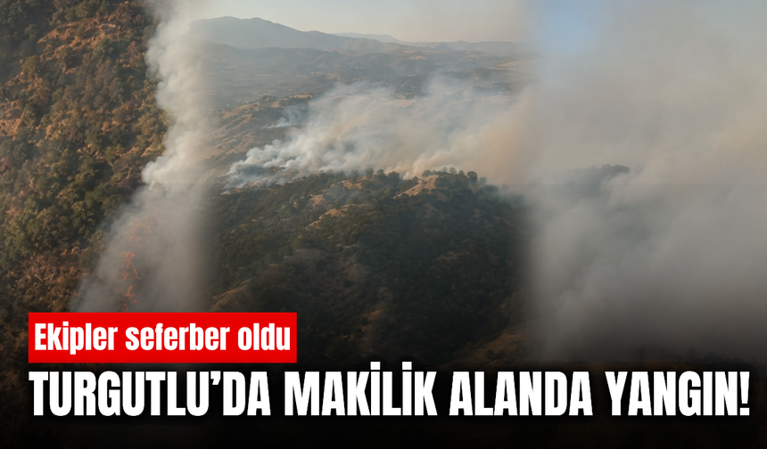 Turgutlu'da makilik alanda yangın