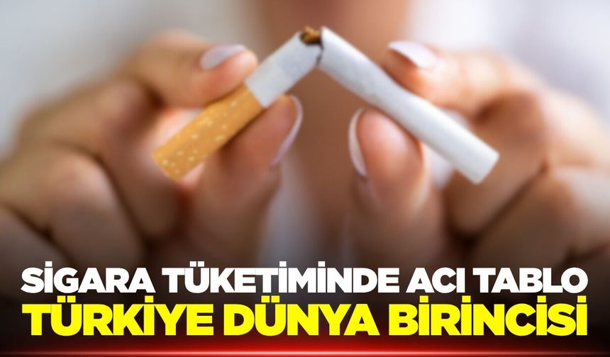 Türkiye sigara tüketiminde dünya birincisi
