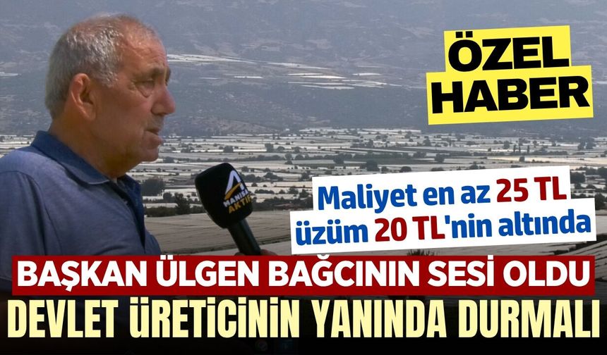 Üzüm üreticisi zor durumda! Maliyet 25 TL, fiyat 20 TL'nin altında