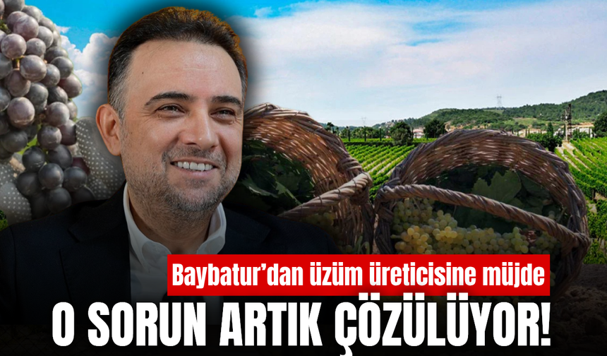 Baybatur açıkladı! Manisa’da üzüm üreticilerini sevindiren gelişme