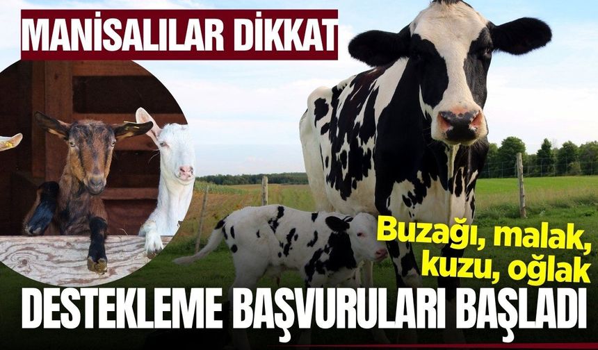 Manisa'da tarım ve hayvancılıkla uğraşanların beklediği haber: Başvurular başladı