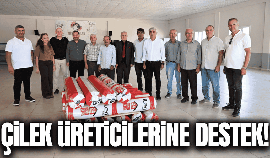 Büyükşehir'den çilek üreticilerine destek!