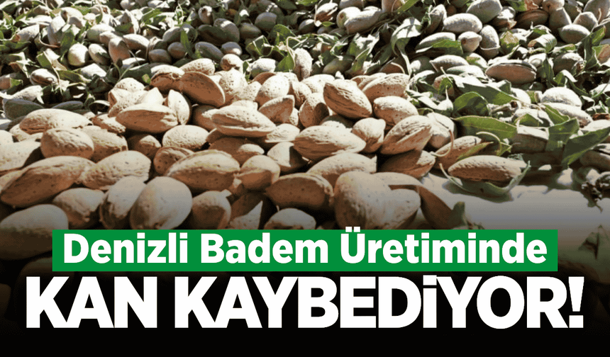 Denizli'de badem üretiminde dikkat çeken düşüş!