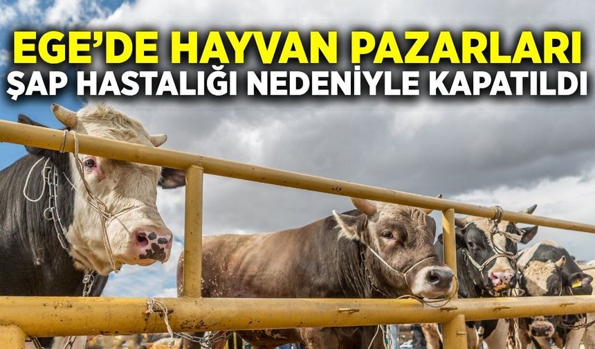 Ege'de hayvan pazarları kapatıldı