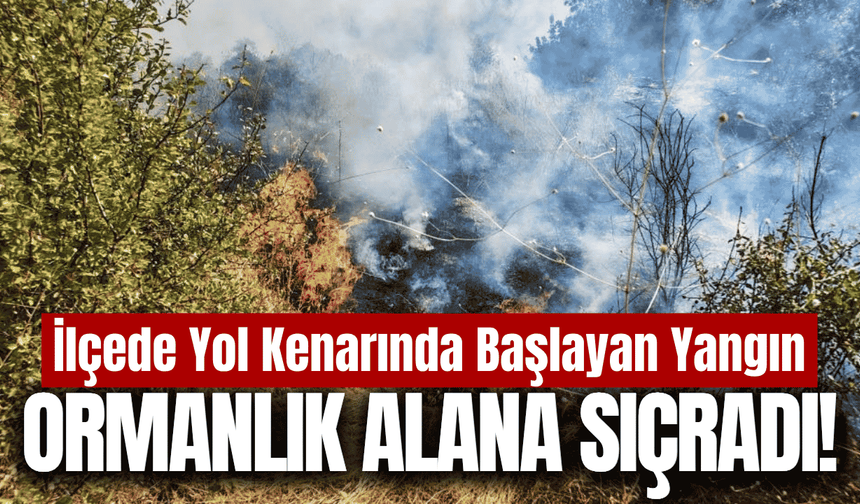 İlçede korkutan yangın: Ekipler seferber oldu!