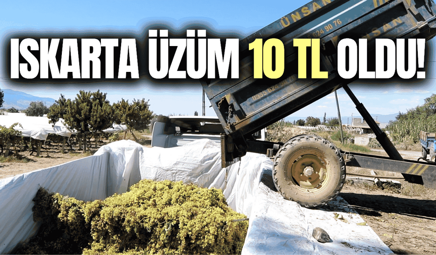 Sarıgöl'de ıskarta üzüm alımına ilişkin açıklama!
