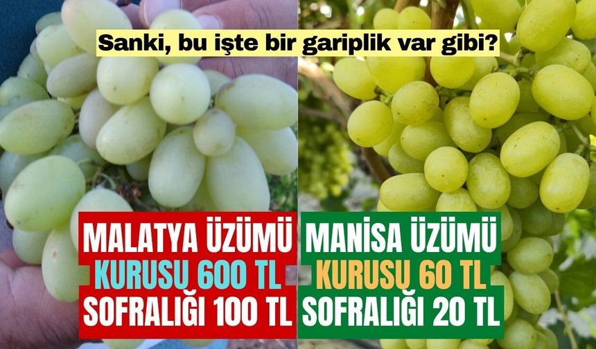 Malatya’da üzüm 600 liraya satıldı, Manisa’da üretici fiyatı sorguluyor