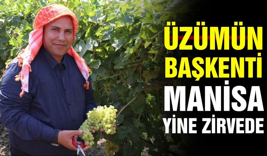 Üzümün lideri Manisa'dan gururlandıran tablo