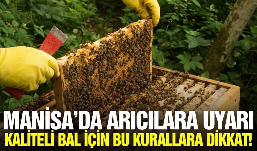 Manisa'da arıcılara kritik uyarı!