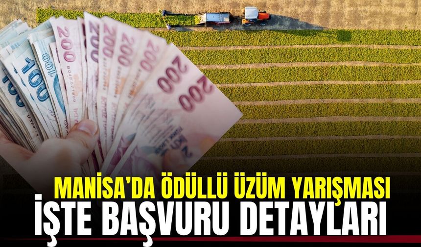 Manisa'da "En Güzel Yaş Üzüm Yarışması" için geri sayım: İşte ödüller